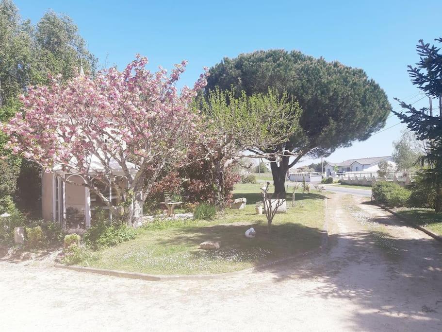 Gite La Burthe Monprimblanc Εξωτερικό φωτογραφία
